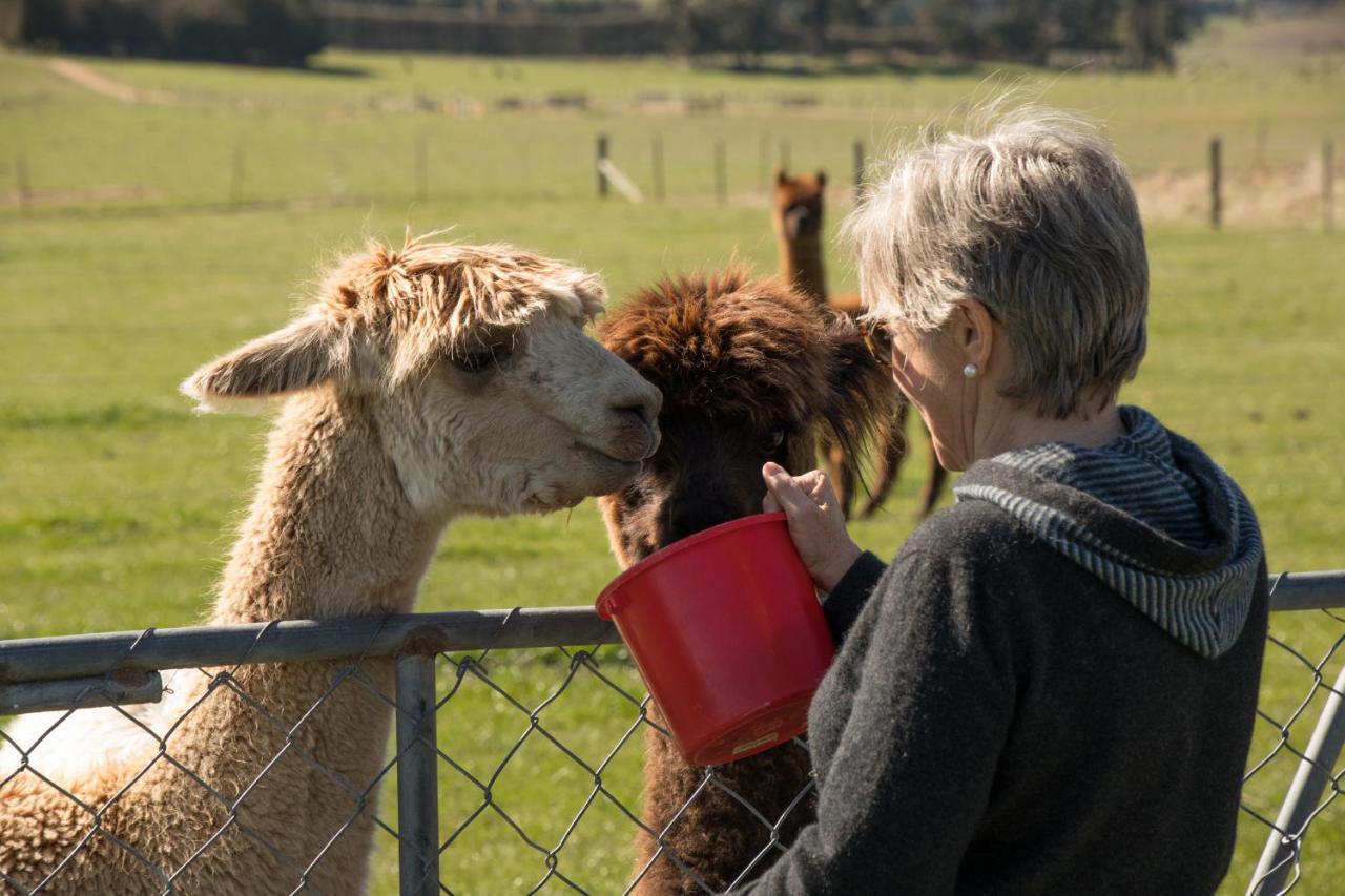 פיירלי Shearvue Farmstay With Optional Free Farm Experience At 5Pm מראה חיצוני תמונה