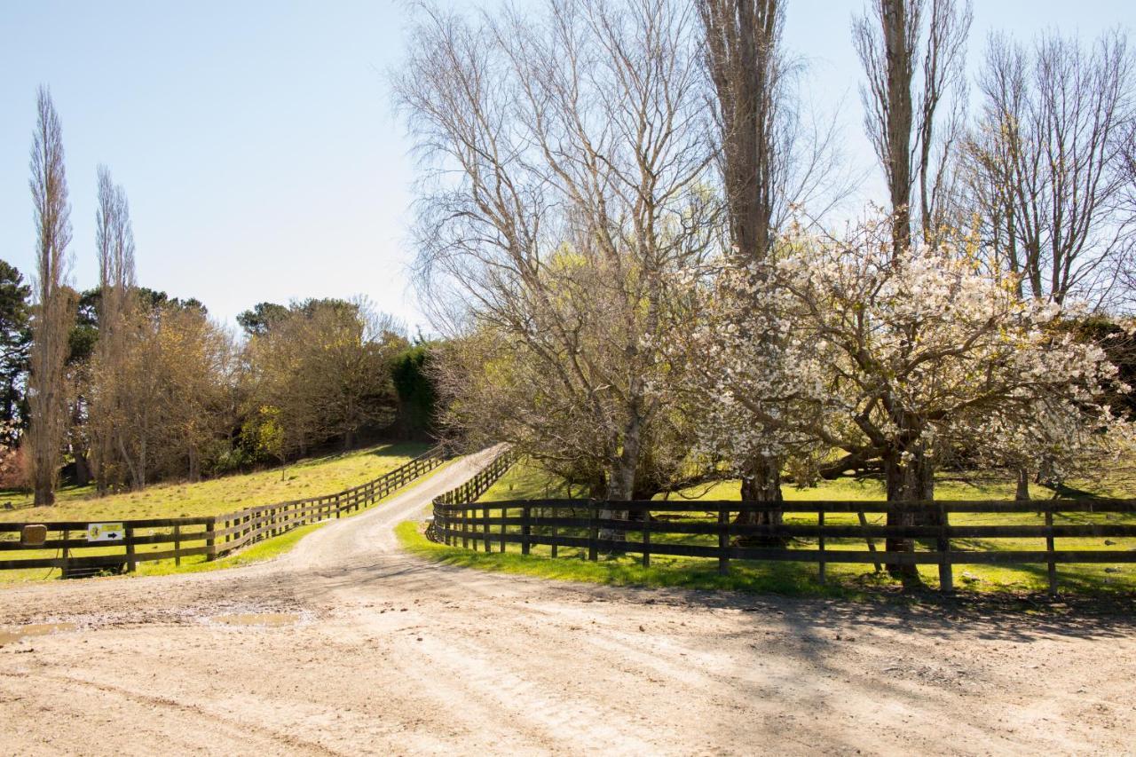 פיירלי Shearvue Farmstay With Optional Free Farm Experience At 5Pm מראה חיצוני תמונה